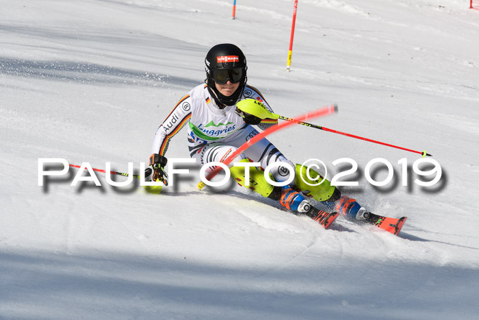 FIS Slalom Damen + NJR Herren, Lenggries 03.03.2019