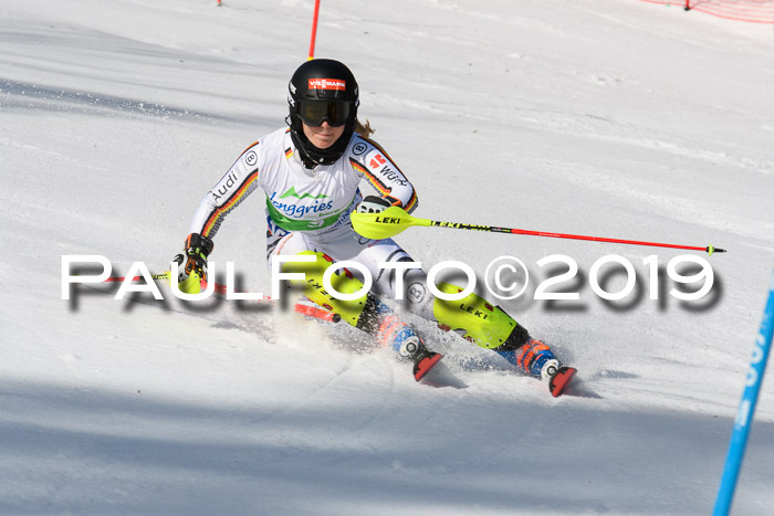 FIS Slalom Damen + NJR Herren, Lenggries 03.03.2019