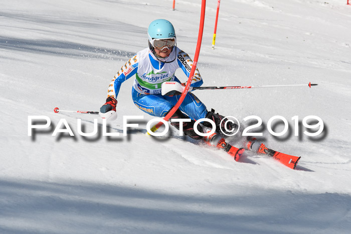 FIS Slalom Damen + NJR Herren, Lenggries 03.03.2019