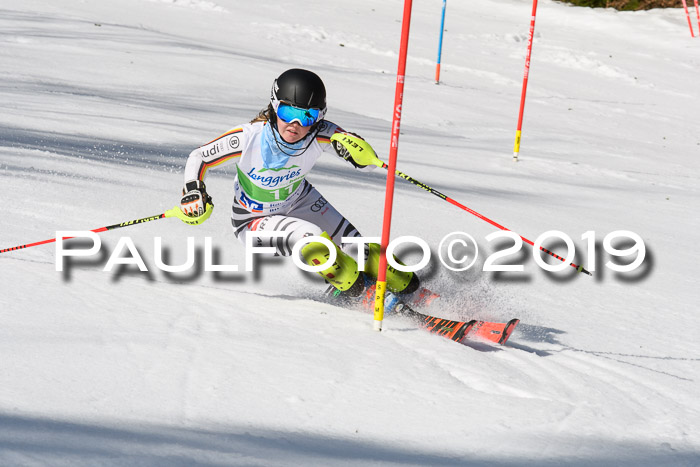 FIS Slalom Damen + NJR Herren, Lenggries 03.03.2019