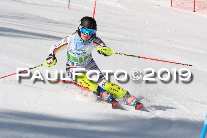 FIS Slalom Damen + NJR Herren, Lenggries 03.03.2019