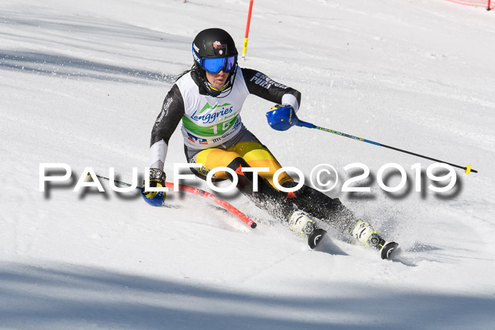 FIS Slalom Damen + NJR Herren, Lenggries 03.03.2019