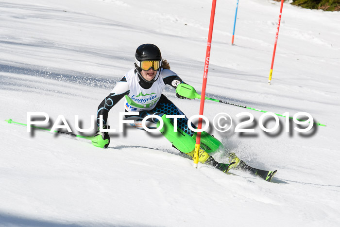 FIS Slalom Damen + NJR Herren, Lenggries 03.03.2019