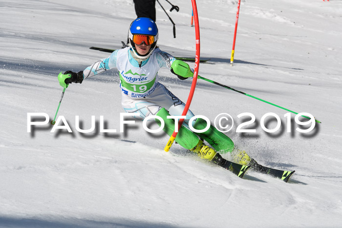 FIS Slalom Damen + NJR Herren, Lenggries 03.03.2019
