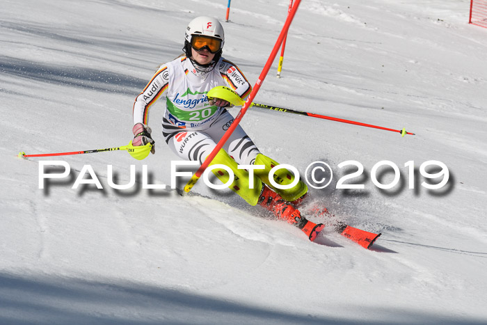 FIS Slalom Damen + NJR Herren, Lenggries 03.03.2019