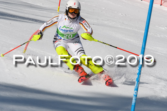 FIS Slalom Damen + NJR Herren, Lenggries 03.03.2019