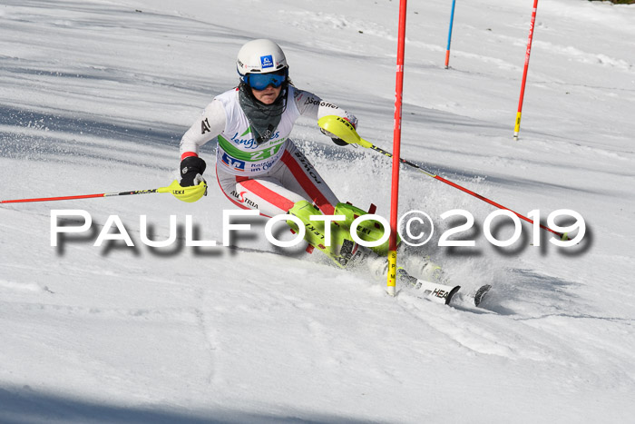 FIS Slalom Damen + NJR Herren, Lenggries 03.03.2019