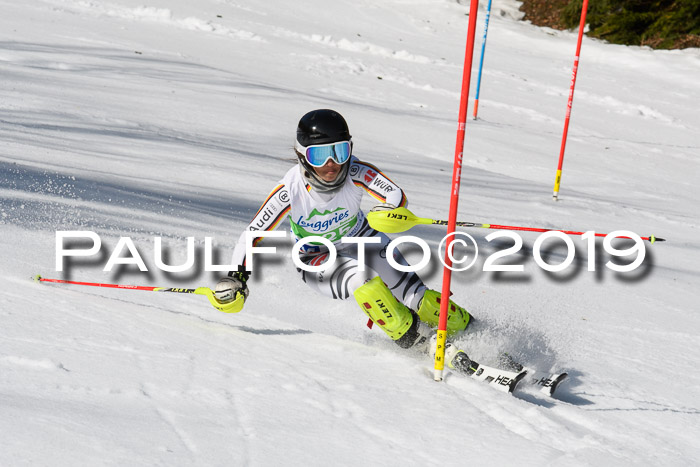 FIS Slalom Damen + NJR Herren, Lenggries 03.03.2019