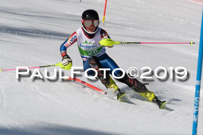FIS Slalom Damen + NJR Herren, Lenggries 03.03.2019