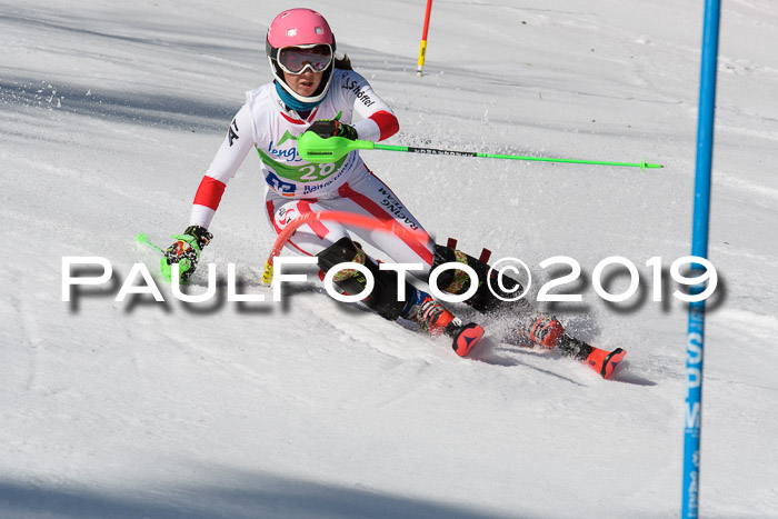 FIS Slalom Damen + NJR Herren, Lenggries 03.03.2019