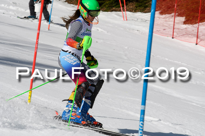 FIS Slalom Damen + NJR Herren, Lenggries 03.03.2019