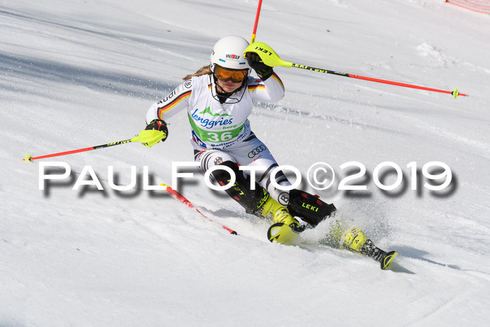 FIS Slalom Damen + NJR Herren, Lenggries 03.03.2019
