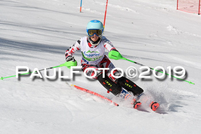 FIS Slalom Damen + NJR Herren, Lenggries 03.03.2019