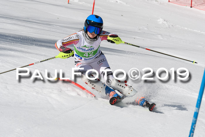FIS Slalom Damen + NJR Herren, Lenggries 03.03.2019