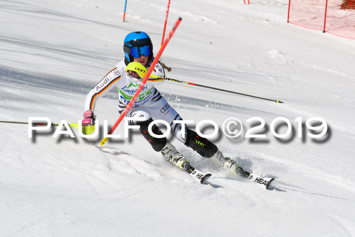 FIS Slalom Damen + NJR Herren, Lenggries 03.03.2019