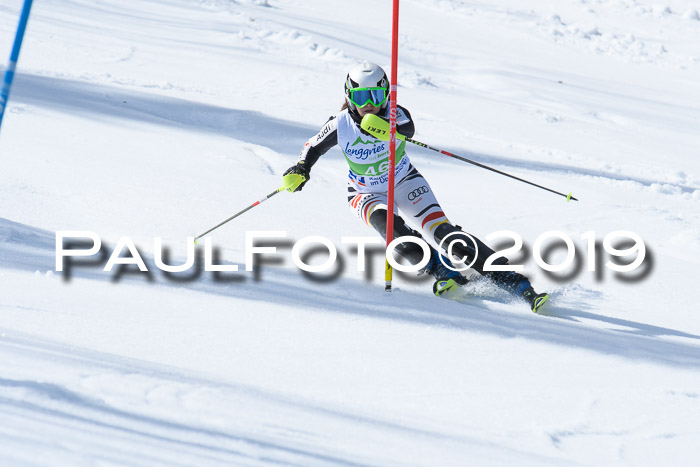 FIS Slalom Damen + NJR Herren, Lenggries 03.03.2019