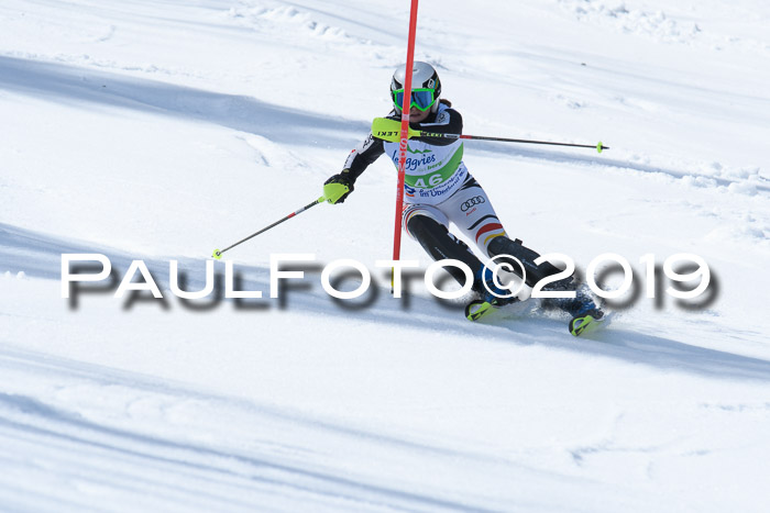 FIS Slalom Damen + NJR Herren, Lenggries 03.03.2019
