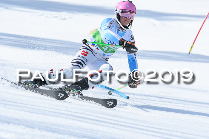 FIS Slalom Damen + NJR Herren, Lenggries 03.03.2019