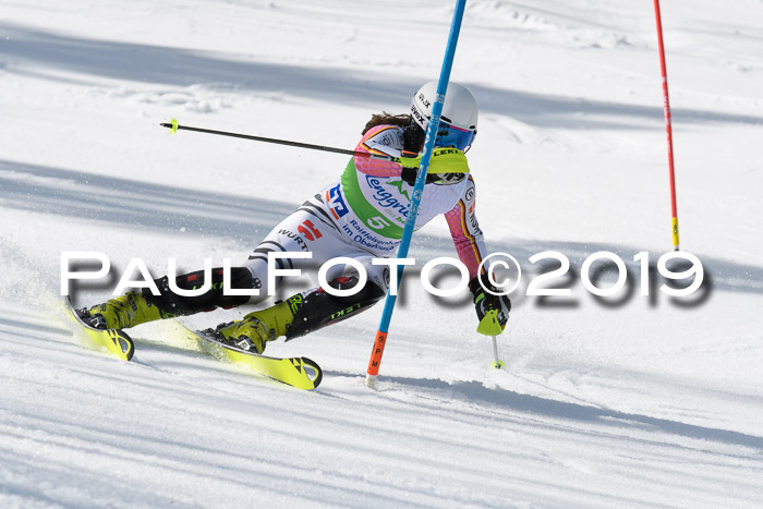 FIS Slalom Damen + NJR Herren, Lenggries 03.03.2019
