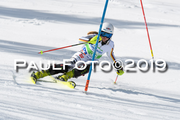 FIS Slalom Damen + NJR Herren, Lenggries 03.03.2019