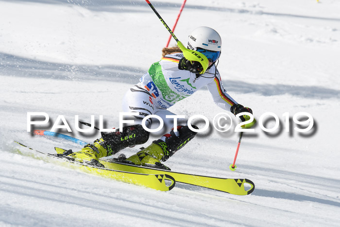 FIS Slalom Damen + NJR Herren, Lenggries 03.03.2019