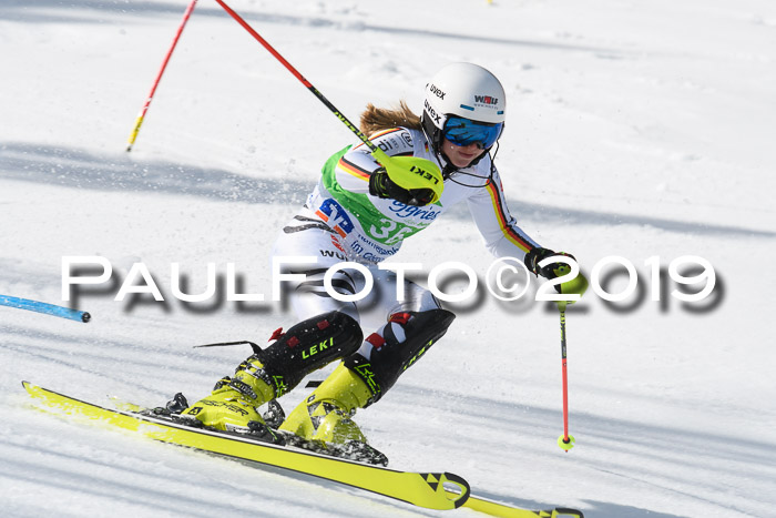 FIS Slalom Damen + NJR Herren, Lenggries 03.03.2019