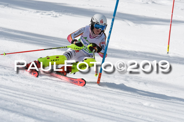 FIS Slalom Damen + NJR Herren, Lenggries 03.03.2019