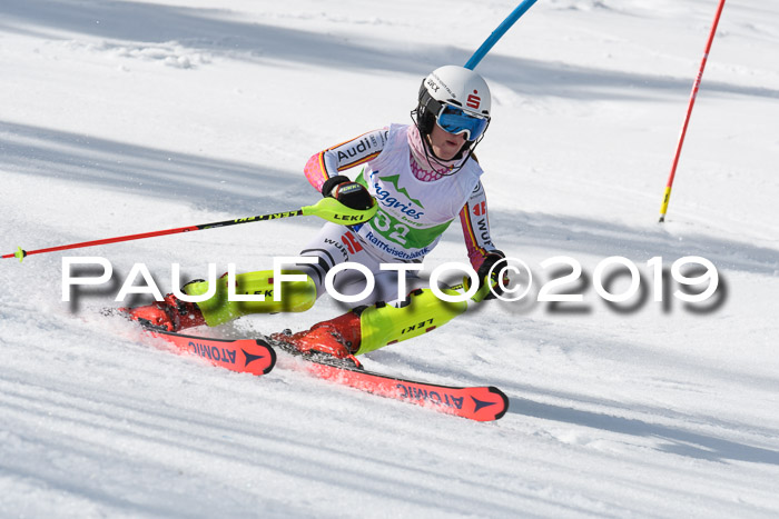 FIS Slalom Damen + NJR Herren, Lenggries 03.03.2019