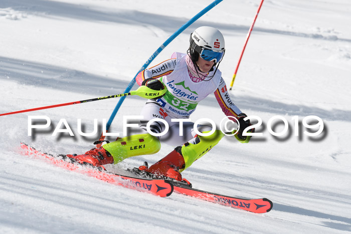 FIS Slalom Damen + NJR Herren, Lenggries 03.03.2019