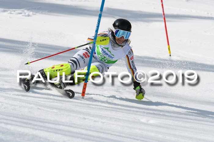 FIS Slalom Damen + NJR Herren, Lenggries 03.03.2019