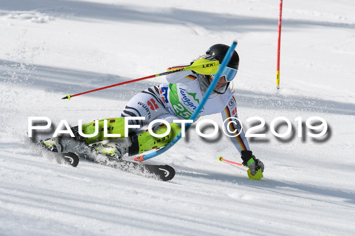 FIS Slalom Damen + NJR Herren, Lenggries 03.03.2019
