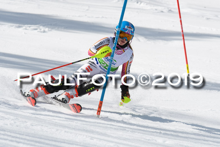 FIS Slalom Damen + NJR Herren, Lenggries 03.03.2019