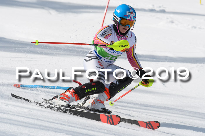 FIS Slalom Damen + NJR Herren, Lenggries 03.03.2019