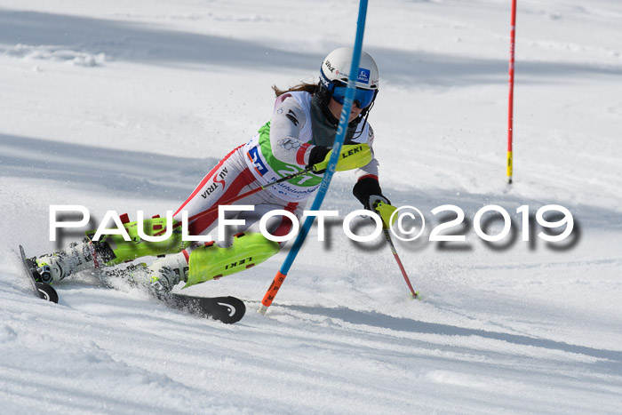 FIS Slalom Damen + NJR Herren, Lenggries 03.03.2019