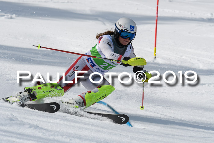 FIS Slalom Damen + NJR Herren, Lenggries 03.03.2019