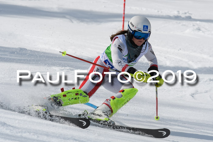 FIS Slalom Damen + NJR Herren, Lenggries 03.03.2019