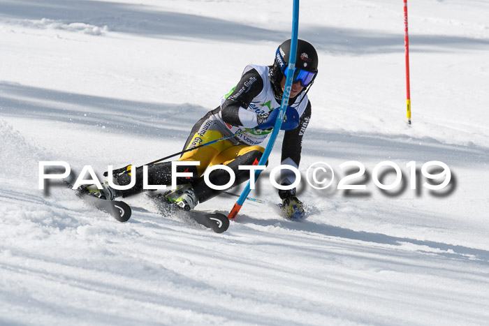 FIS Slalom Damen + NJR Herren, Lenggries 03.03.2019