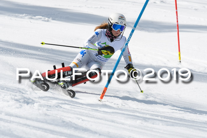 FIS Slalom Damen + NJR Herren, Lenggries 03.03.2019