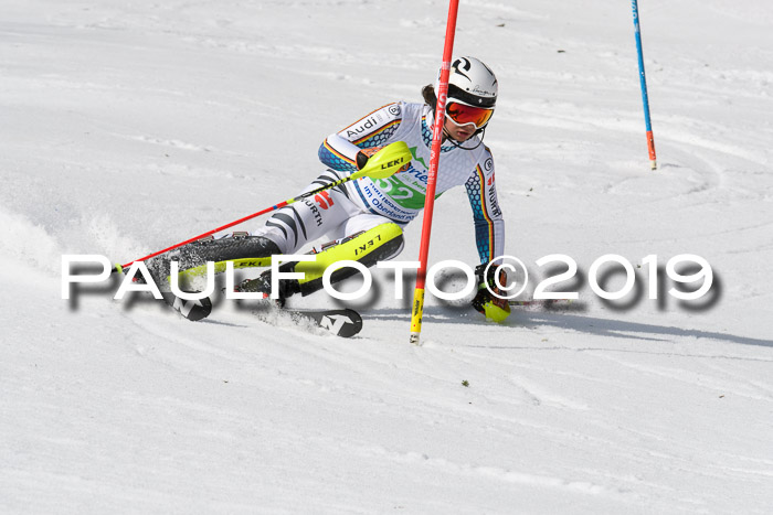 FIS Slalom Damen + NJR Herren, Lenggries 03.03.2019