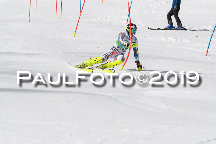 FIS Slalom Damen + NJR Herren, Lenggries 03.03.2019