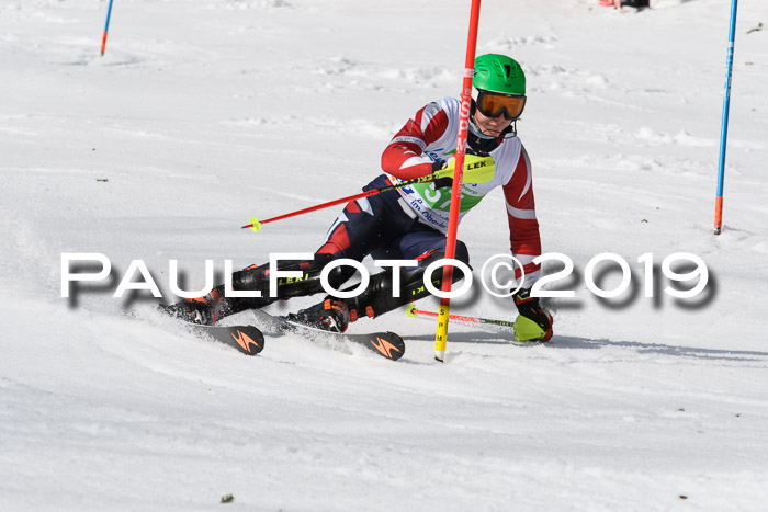 FIS Slalom Damen + NJR Herren, Lenggries 03.03.2019