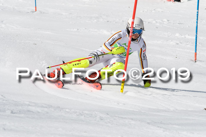 FIS Slalom Damen + NJR Herren, Lenggries 03.03.2019