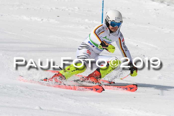 FIS Slalom Damen + NJR Herren, Lenggries 03.03.2019