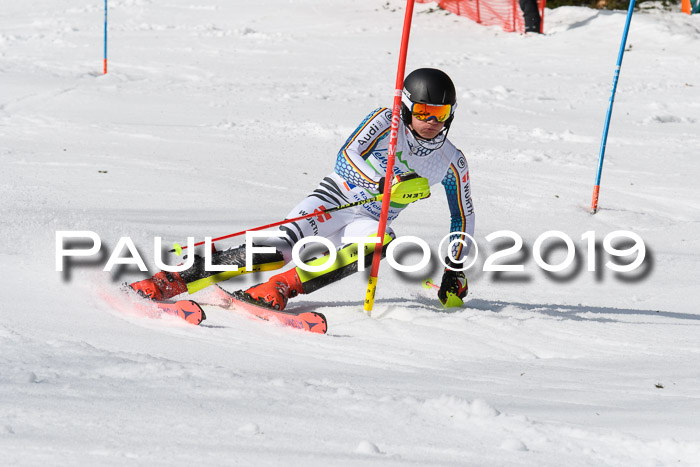 FIS Slalom Damen + NJR Herren, Lenggries 03.03.2019