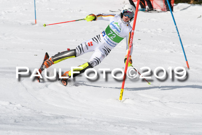 FIS Slalom Damen + NJR Herren, Lenggries 03.03.2019