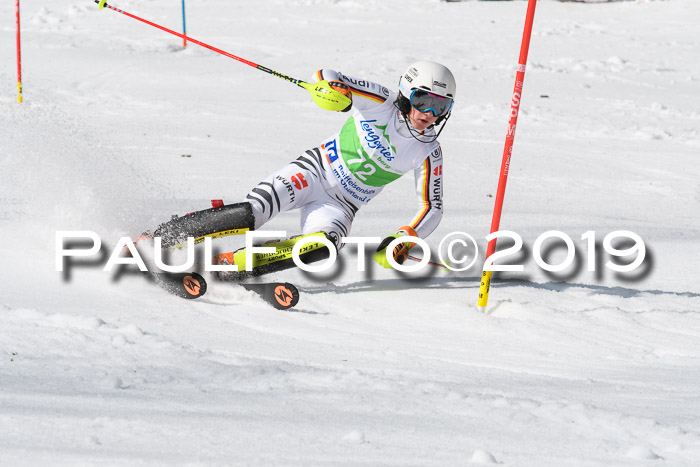 FIS Slalom Damen + NJR Herren, Lenggries 03.03.2019