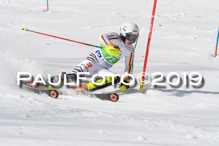 FIS Slalom Damen + NJR Herren, Lenggries 03.03.2019