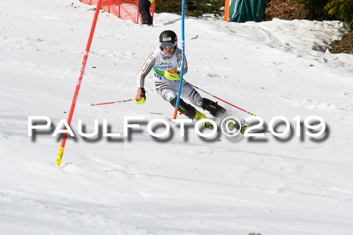 FIS Slalom Damen + NJR Herren, Lenggries 03.03.2019