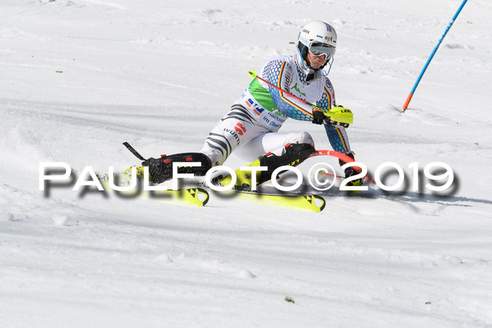 FIS Slalom Damen + NJR Herren, Lenggries 03.03.2019