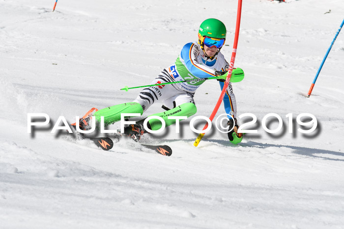 FIS Slalom Damen + NJR Herren, Lenggries 03.03.2019